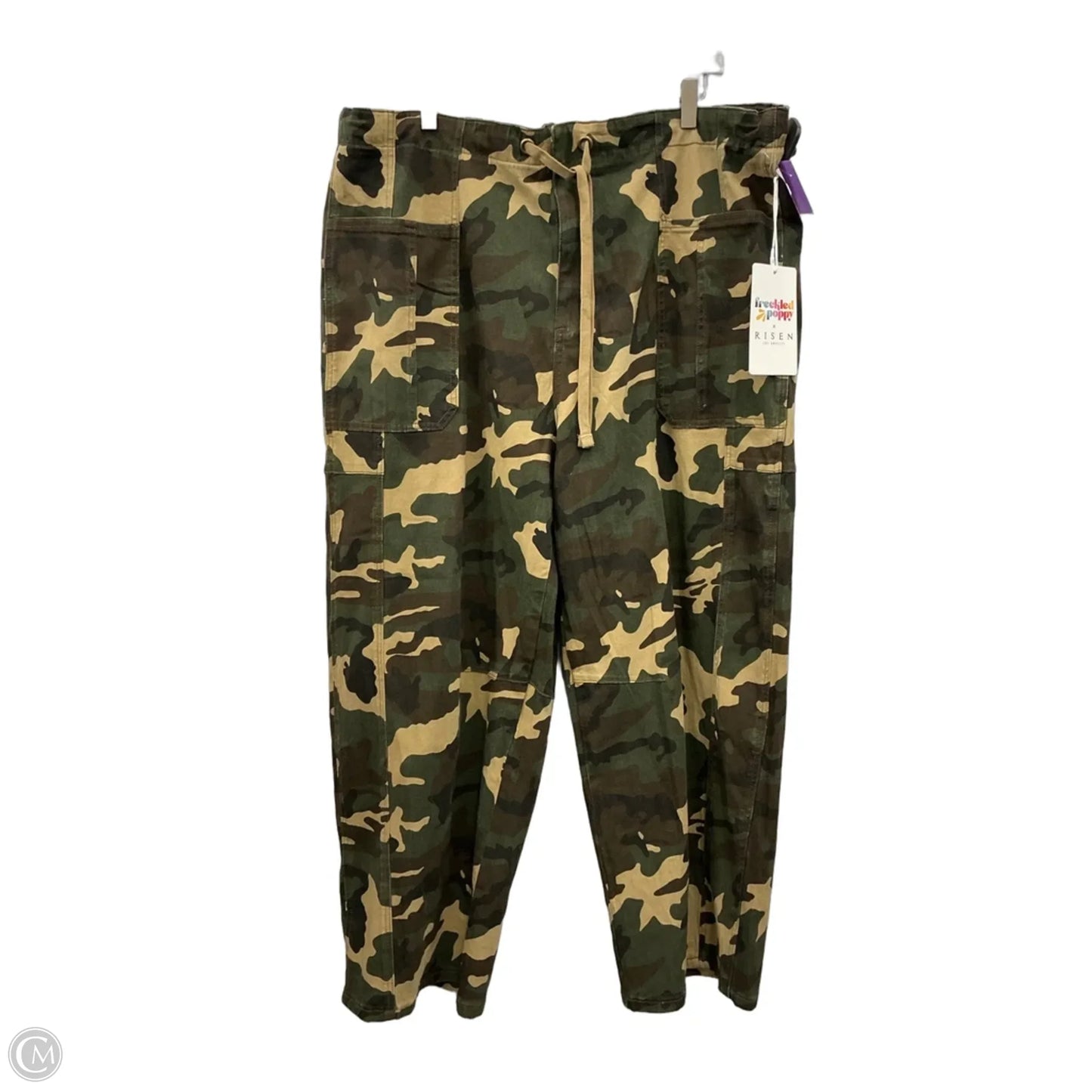 Pants Cargo & Utility By Clothes Mentor In Camouflage Print, Size: 3x