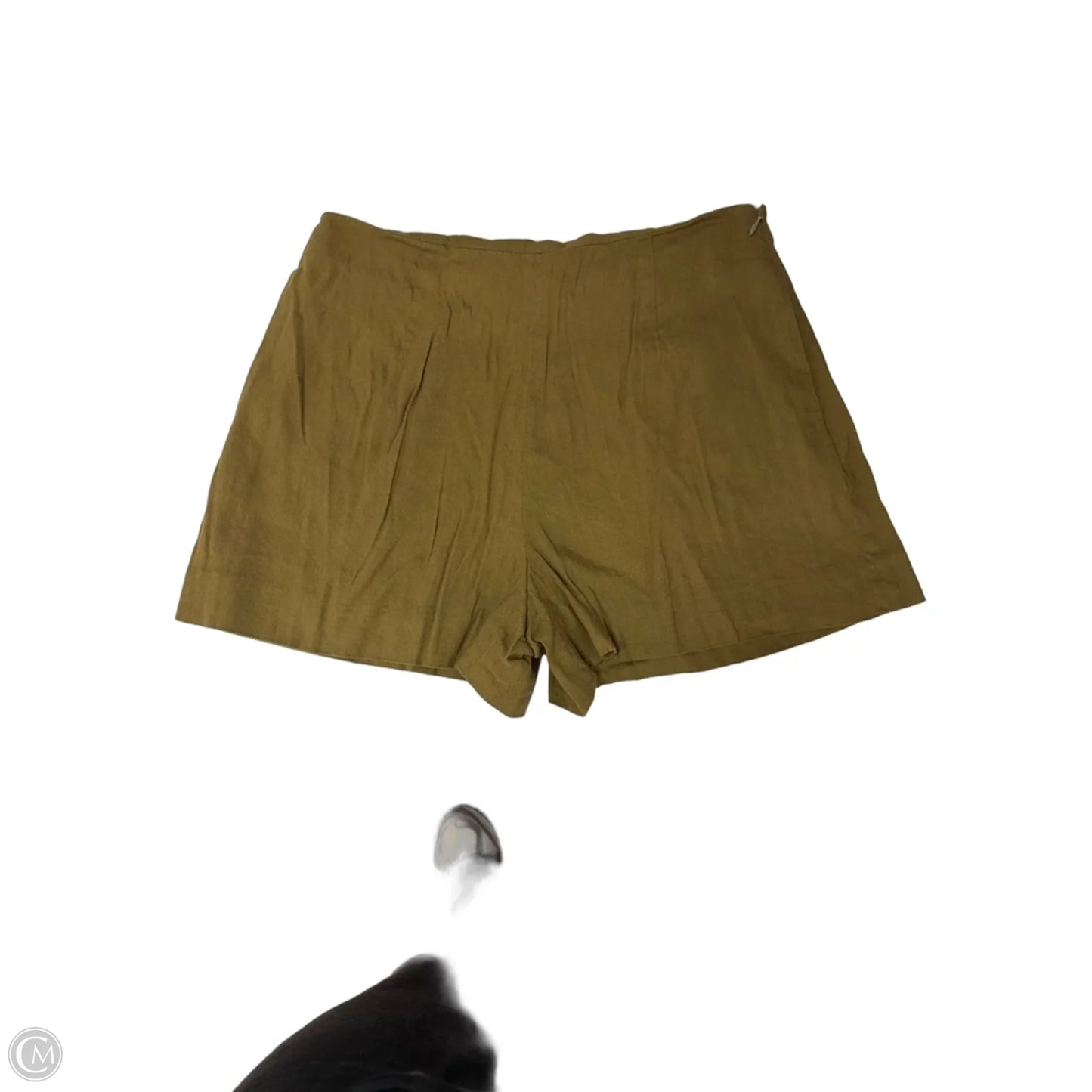 Shorts By Antonio Melani In Green, Size: 6