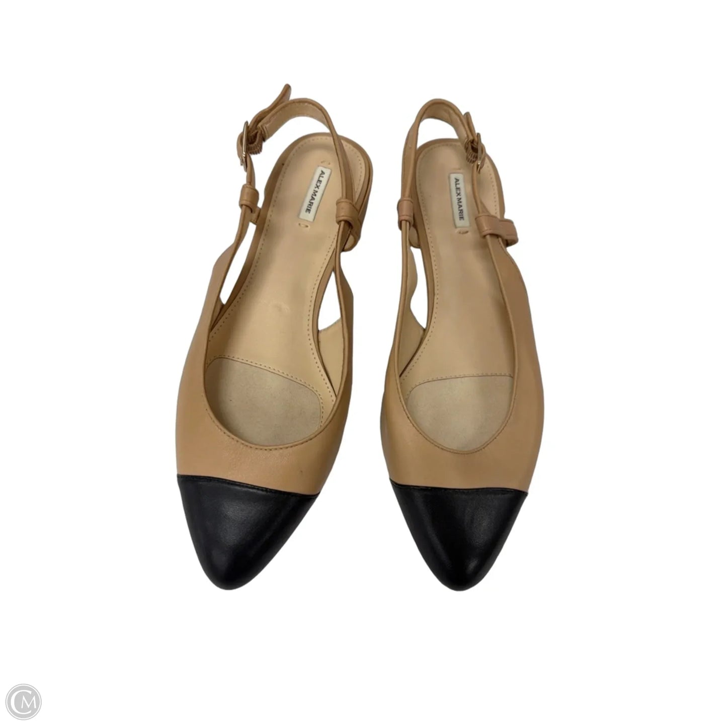 Shoes Flats By Alex Marie In Black & Tan, Size: 10