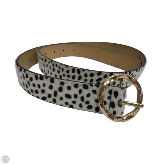 Belt By Clothes Mentor
