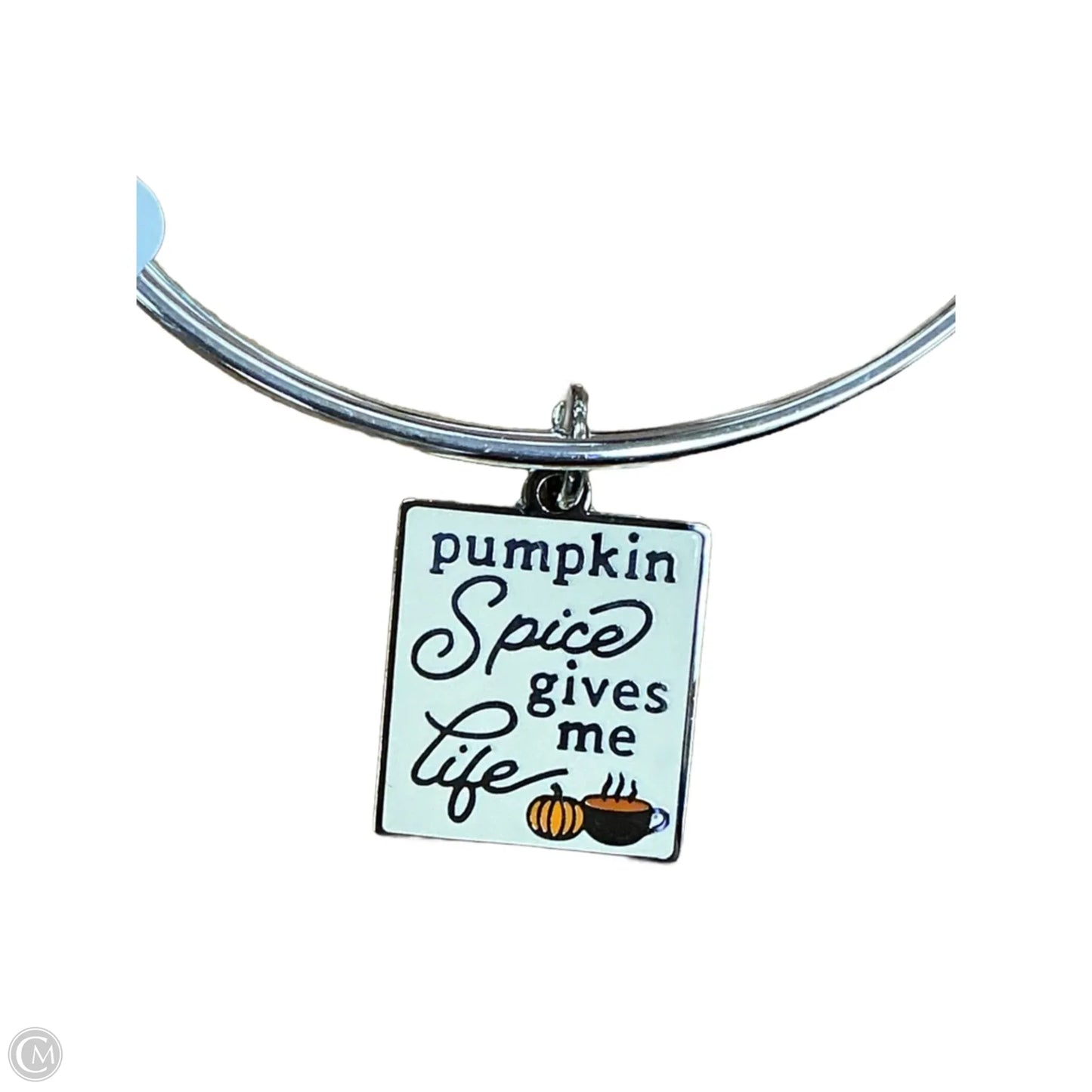 Bracelet Charm By Alex And Ani