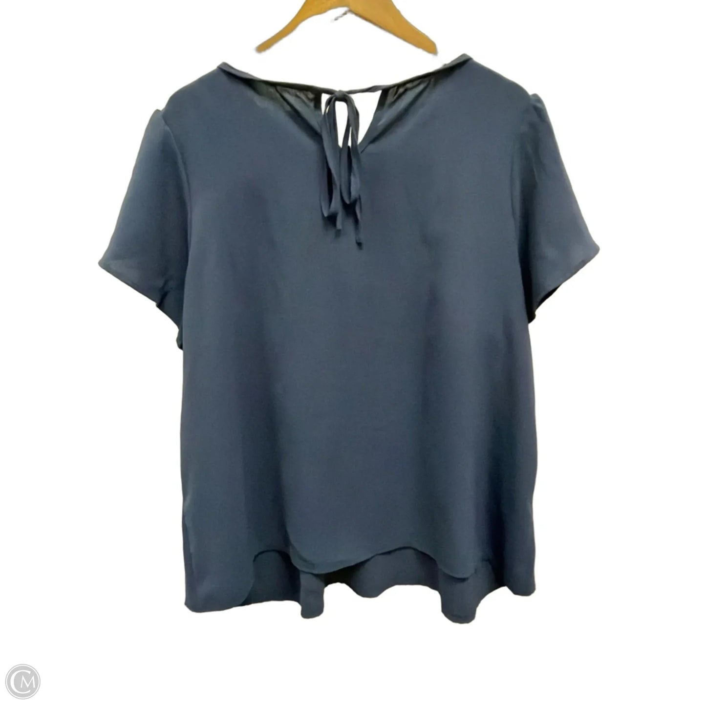 Top Short Sleeve By Shein In Blue, Size: 2x