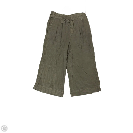 Pants Cargo & Utility By American Eagle In Green, Size: 16