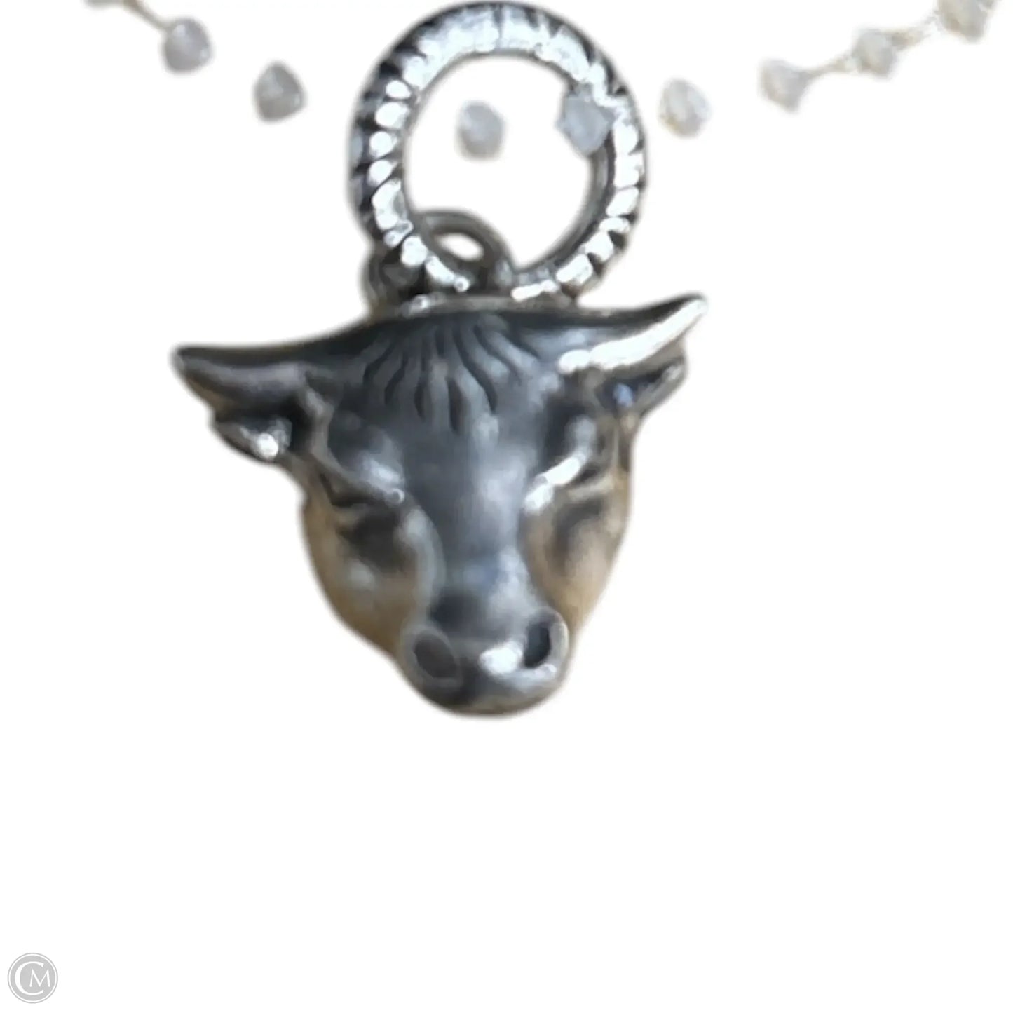 Accessory Luxury Designer Label By Gucci