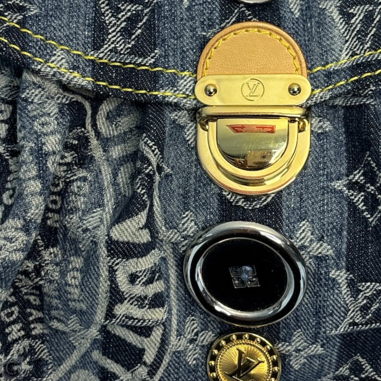 Louis Vuitton Mini Pleaty Raye Limited Edition 2006