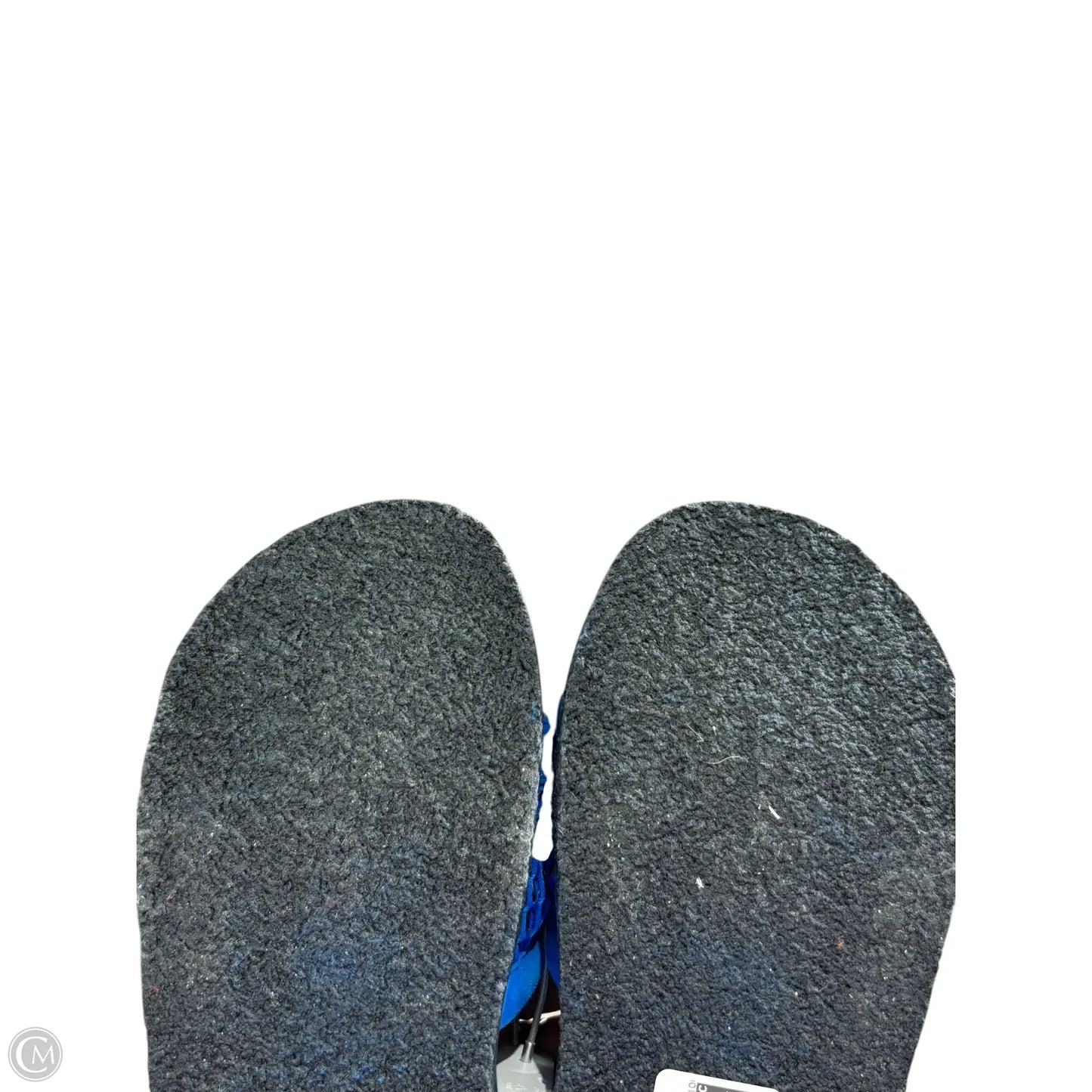 Shoes Luxury Designer By Alexander Wang In Blue, Size: 8