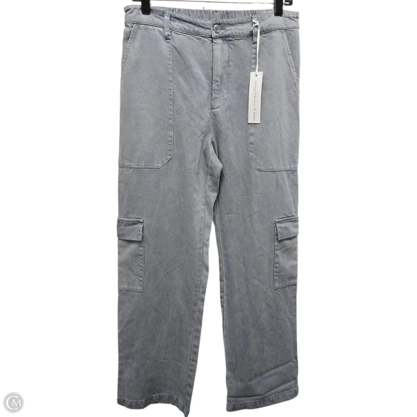 Pants Cargo & Utility By Clothes Mentor In Blue, Size: L