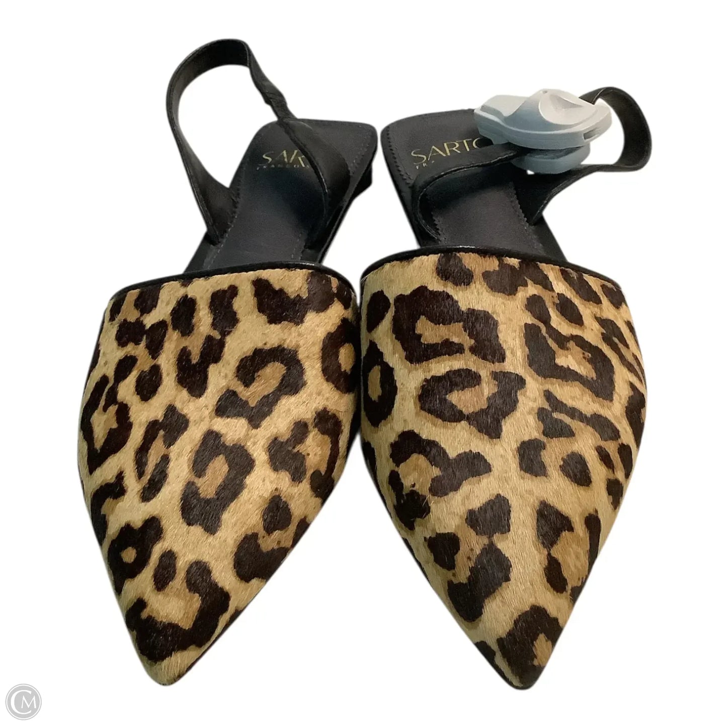 Shoes Flats By Franco Sarto In Animal Print, Size: 7