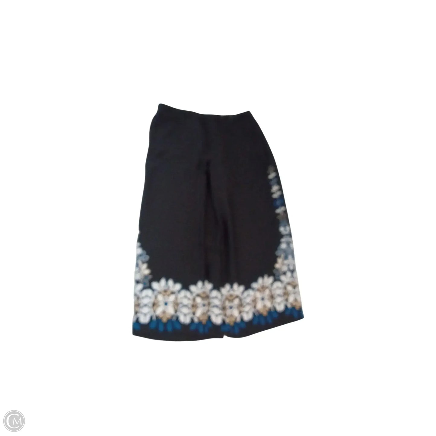 Pants Wide Leg By Chicos In Black, Size: 16