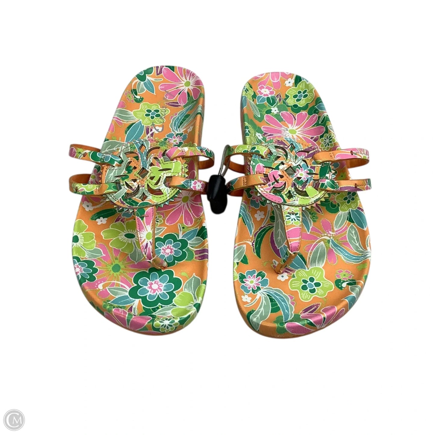Sandals Flip Flops By Circus By Sam Edelman In Multi-colored, Size: 10