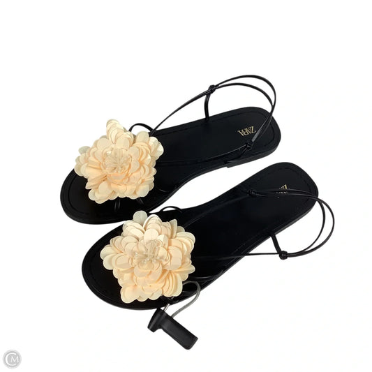Sandals Flats By Zara In Black & Cream, Size: 7 (37)