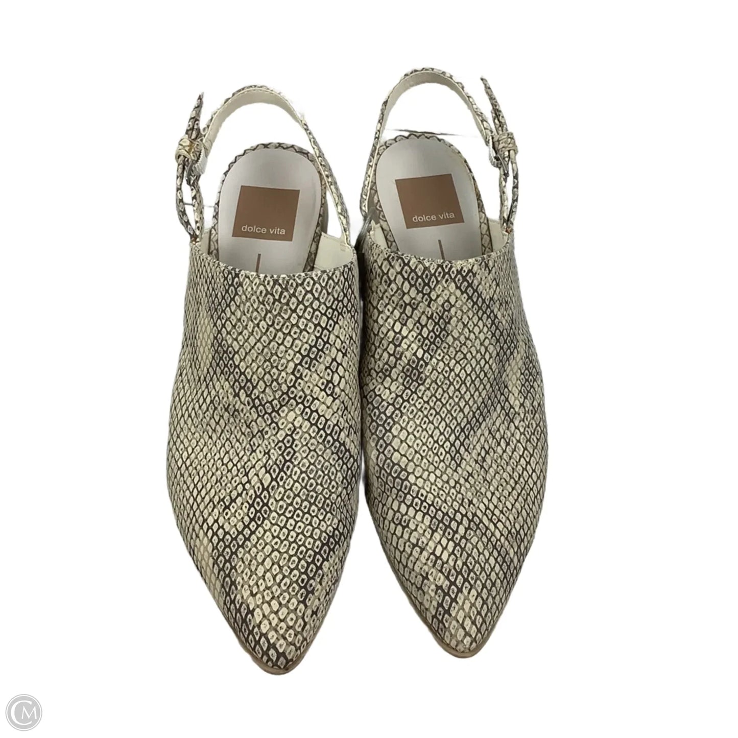 Shoes Heels Block By Dolce Vita In Snakeskin Print, Size: 7.5