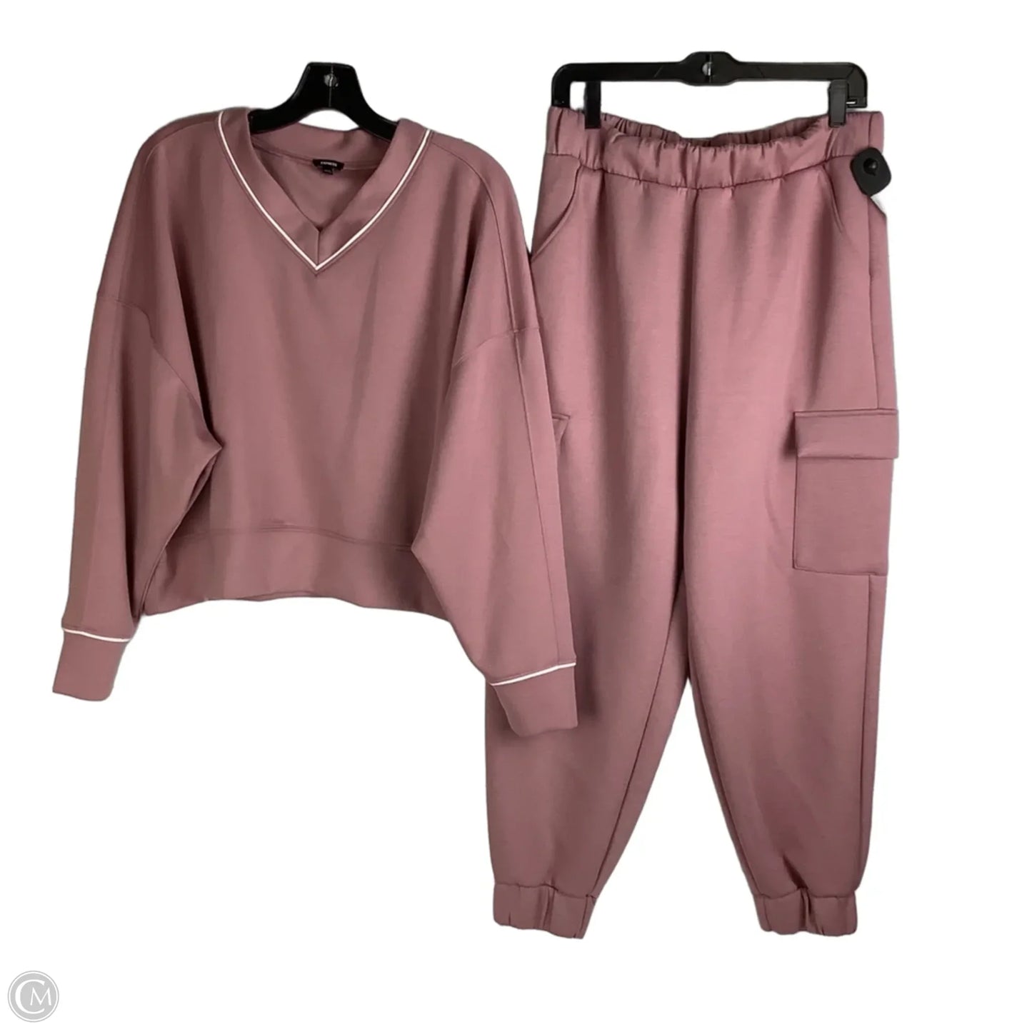 Athletic Pants 2pc By Express In Purple, Size: L