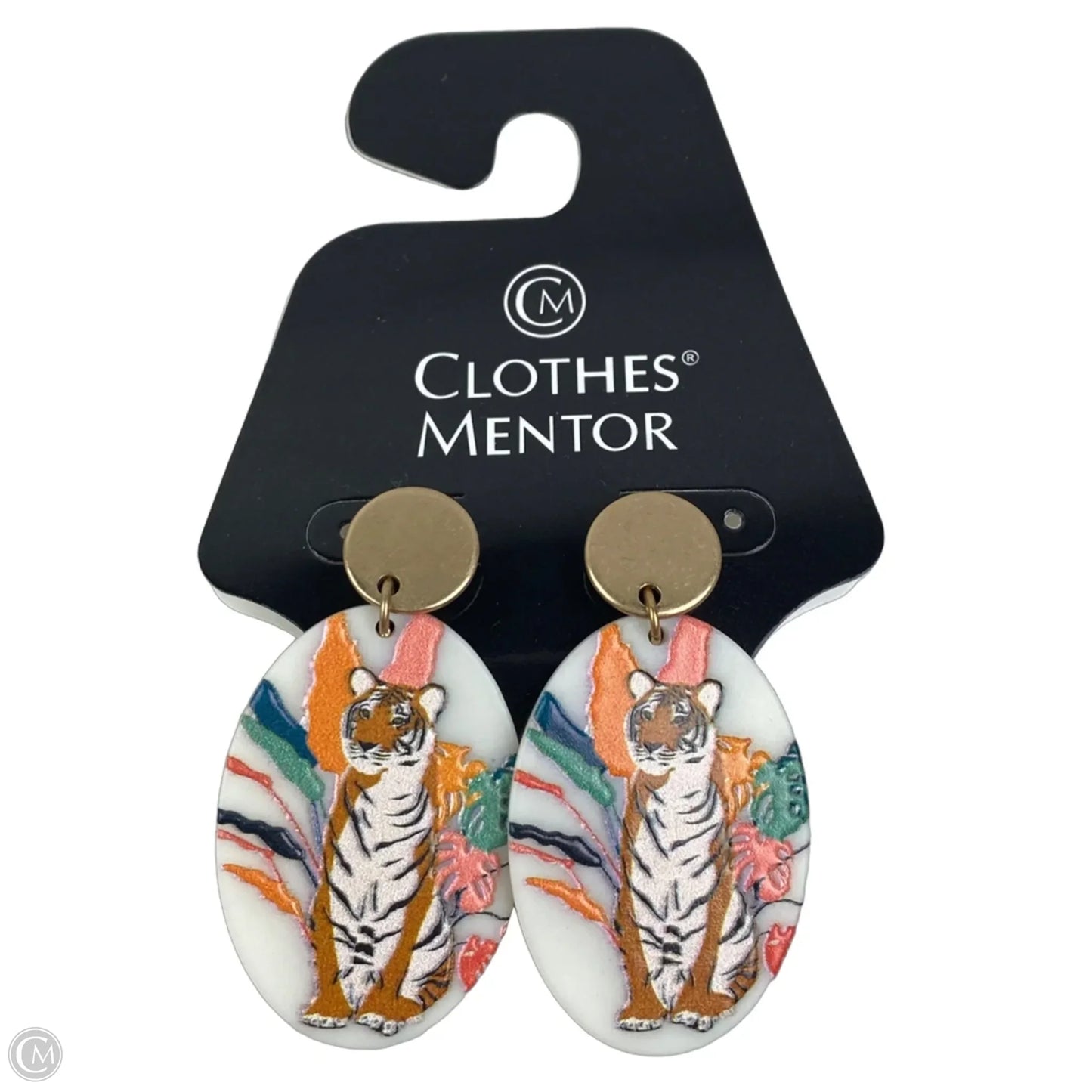 Earrings Dangle/drop By Clothes Mentor