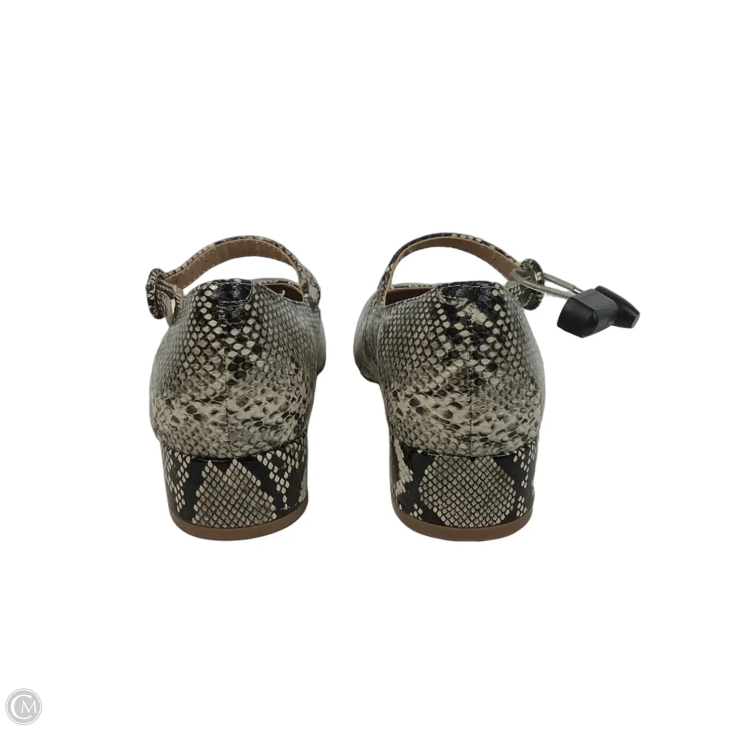 Shoes Heels Block By Steve Madden In Snakeskin Print, Size: 6