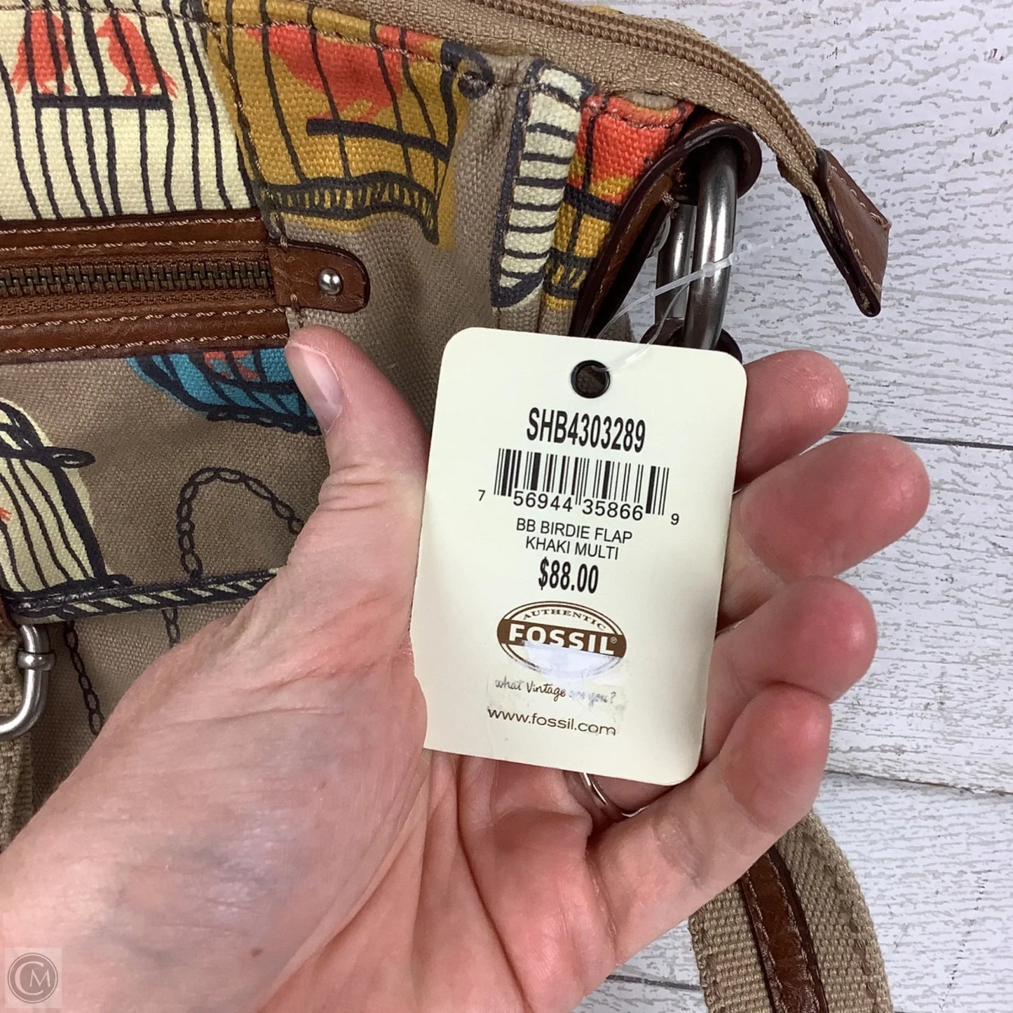 Crossbody By Fossil, Size: Medium