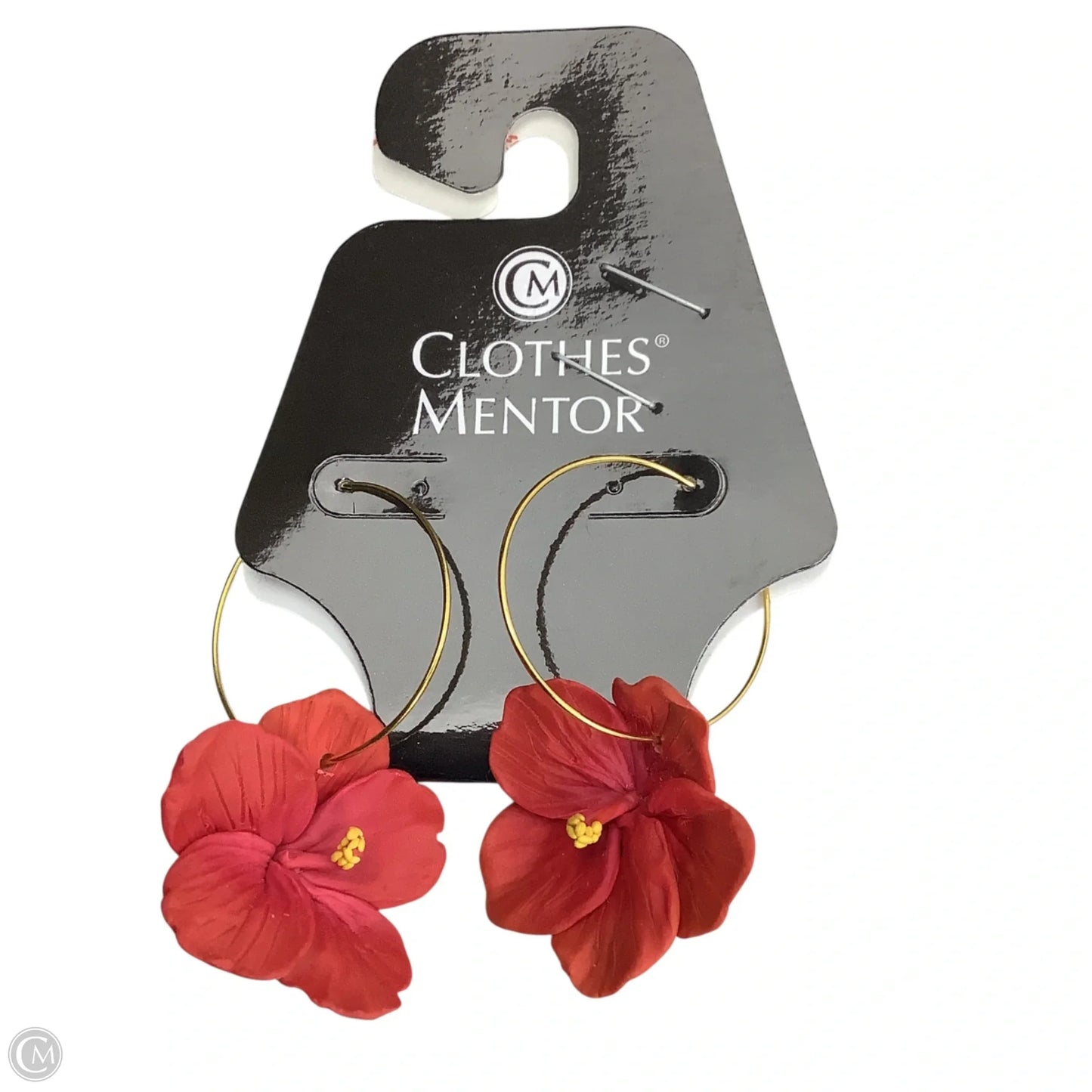 Earrings Dangle/drop By Clothes Mentor