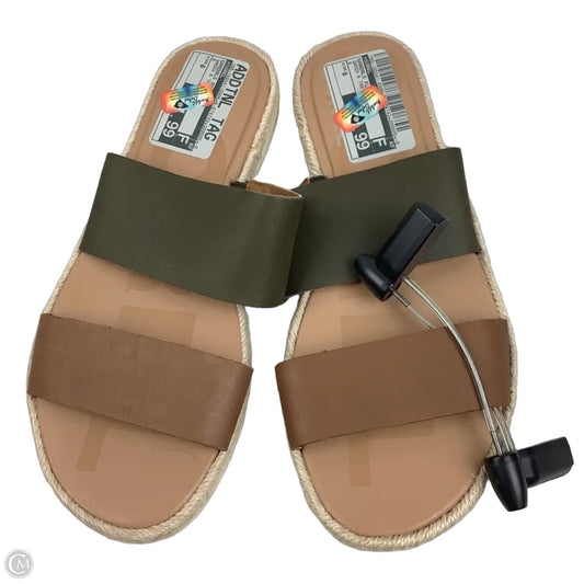 Sandals Flats By Sorel In Green & Tan, Size: 6