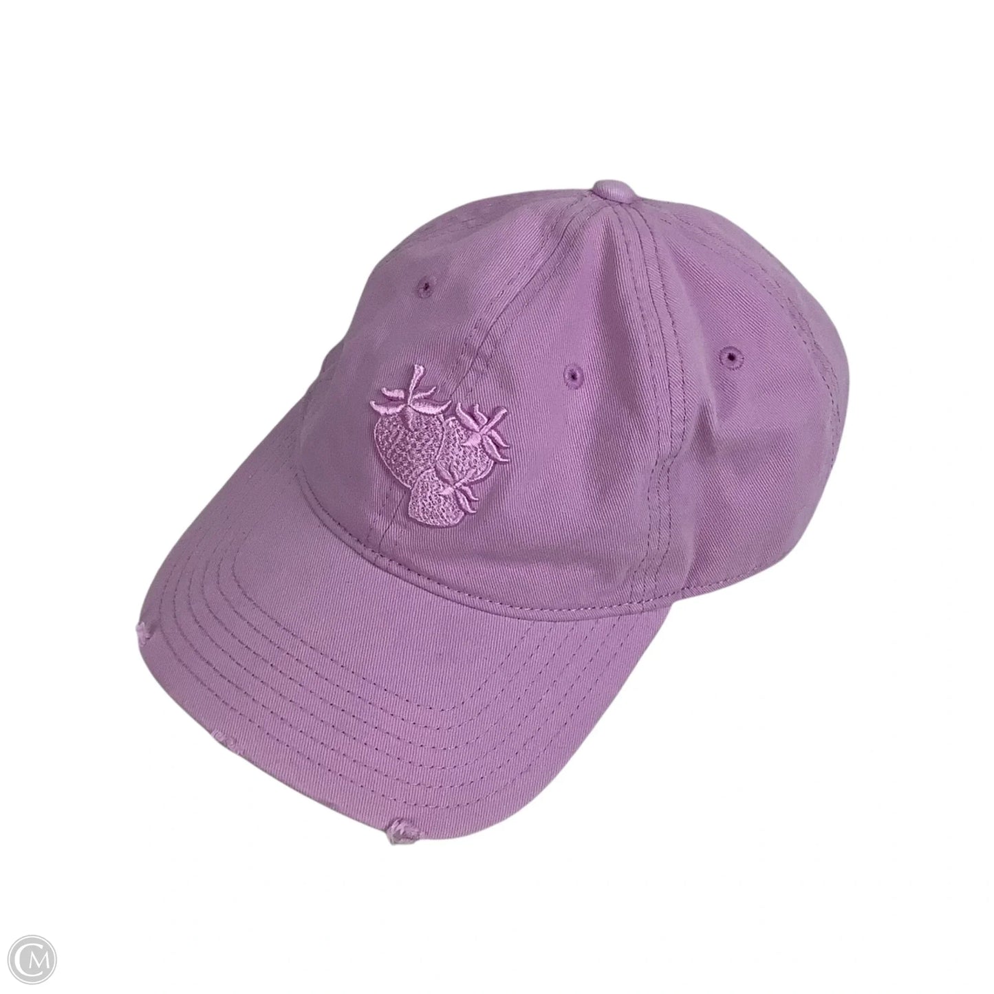 Hat Baseball Cap By Aerie