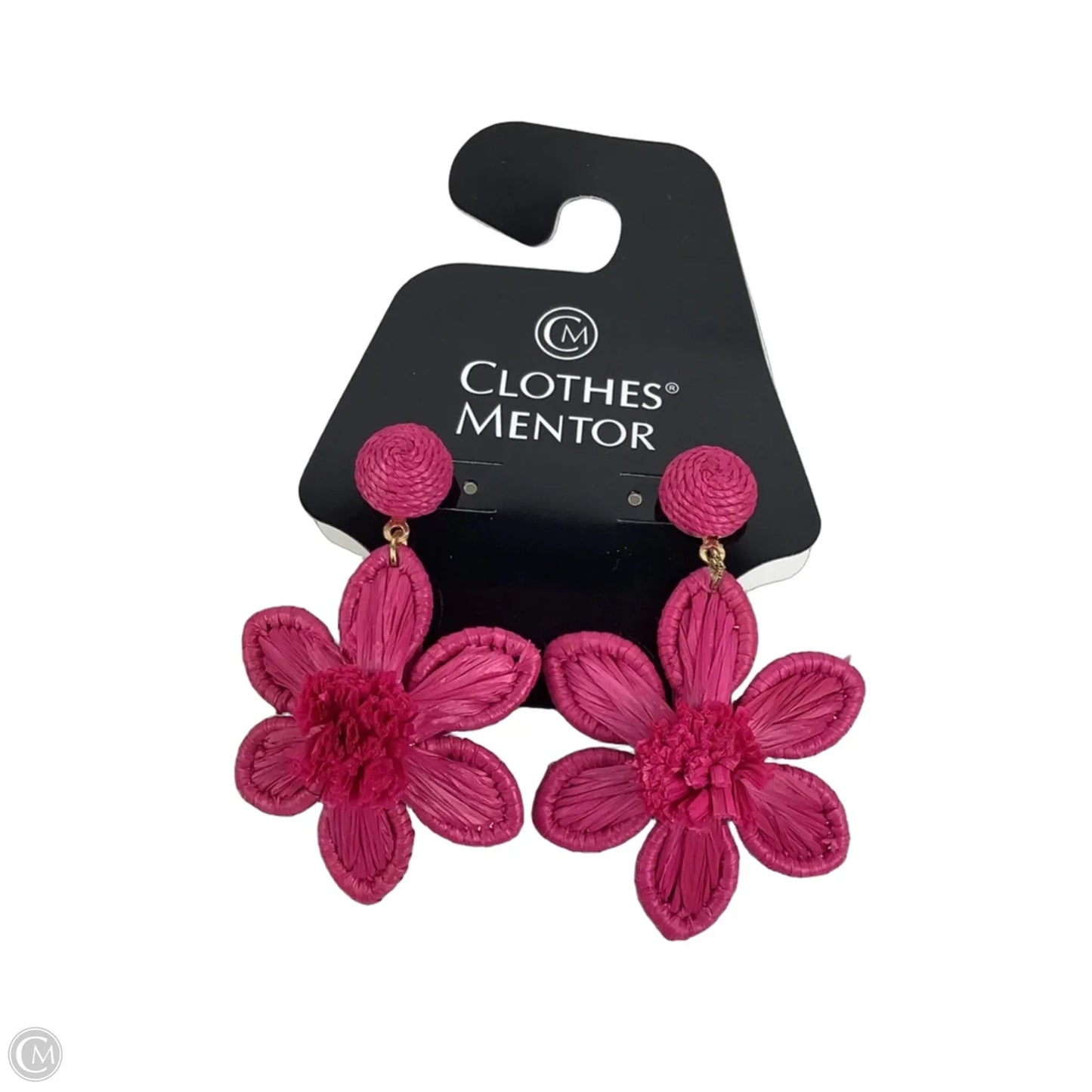 Earrings Dangle/drop By Clothes Mentor
