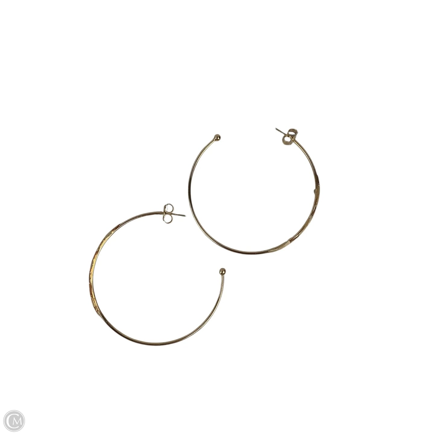Earrings Hoop By Sheila Fajl