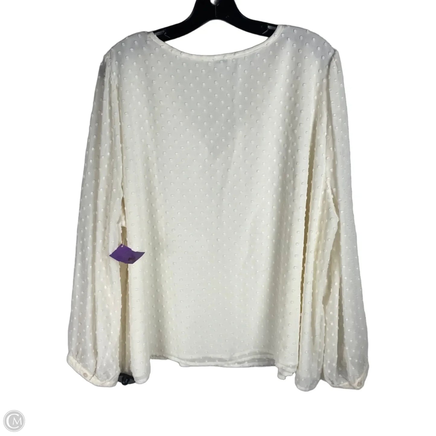 Top Long Sleeve By J. Crew In Cream, Size: 3x
