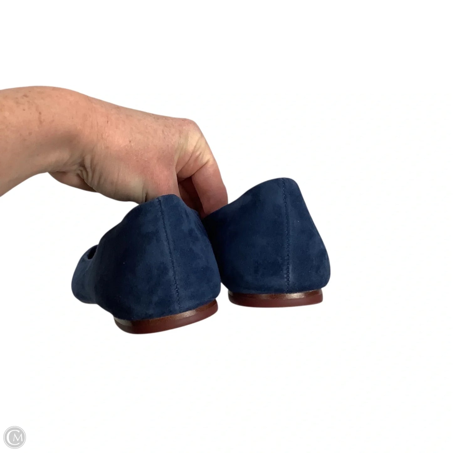 Shoes Designer By Tory Burch In Blue, Size: 9