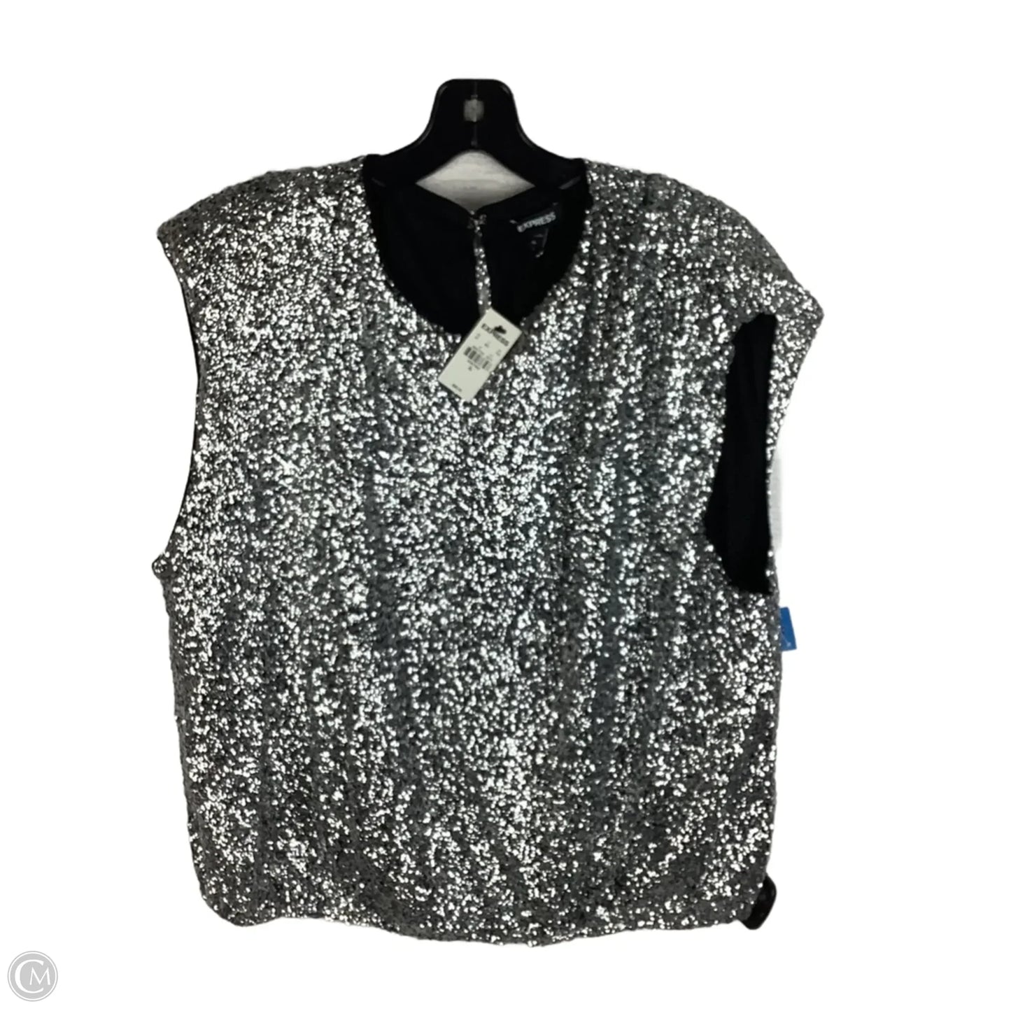 Top Sleeveless By Express In Silver, Size: Xl
