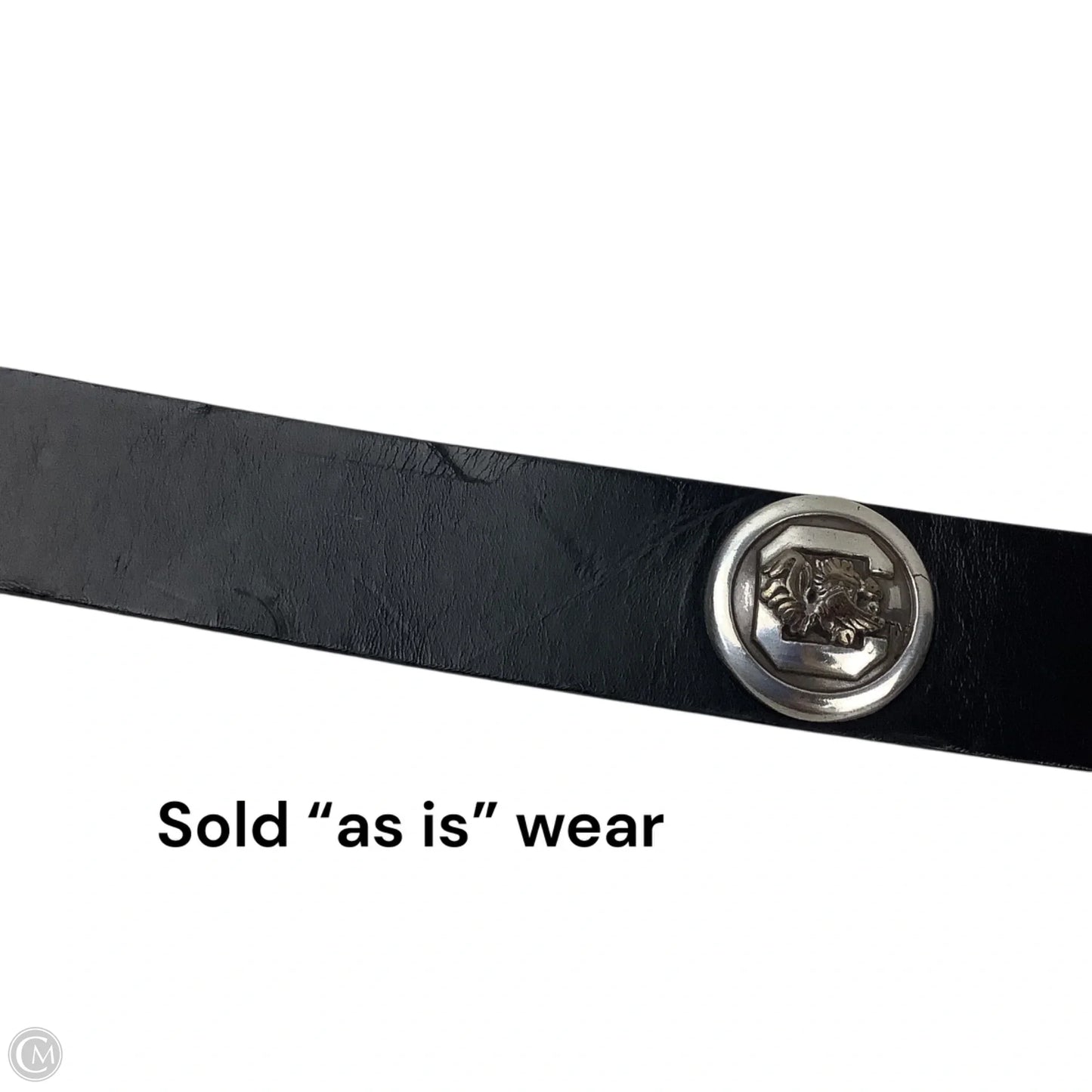 Belt By Clothes Mentor Size 34