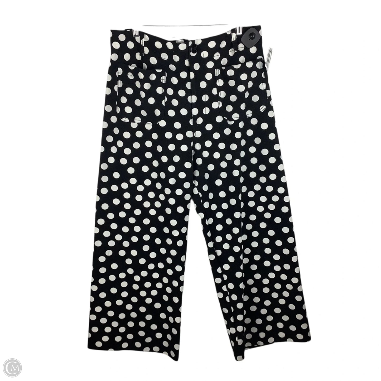 Pants Other By Maeve In Polkadot Pattern, Size: 14