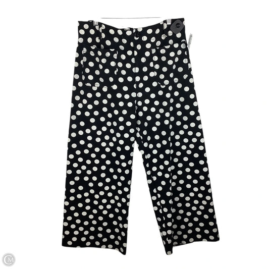 Pants Other By Maeve In Polkadot Pattern, Size: 14