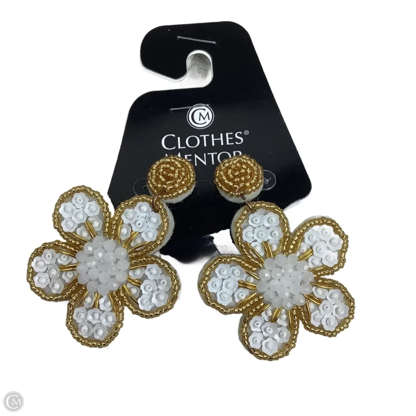 Earrings Dangle/drop By Clothes Mentor