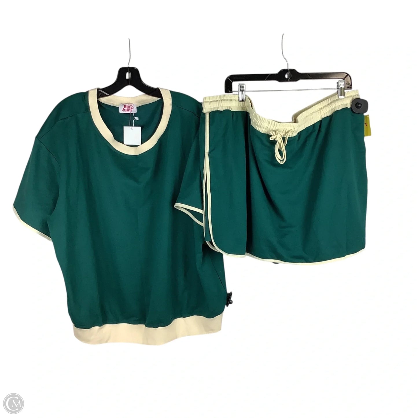 Skirt Set 2pc By Clothes Mentor In Teal, Size: 4x