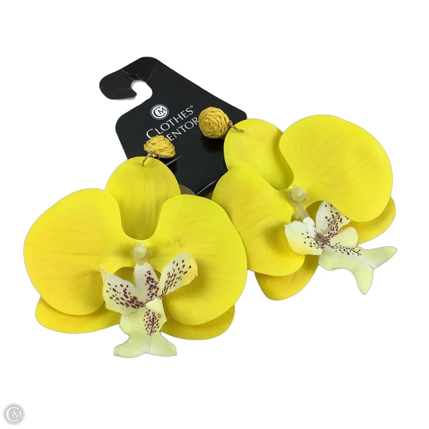 Earrings Statement By Clothes Mentor