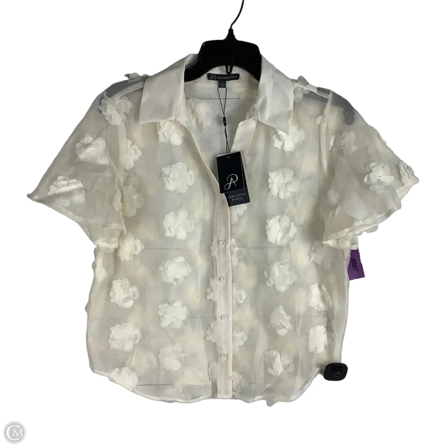 Top Short Sleeve By Adrianna Papell In Cream, Size: S