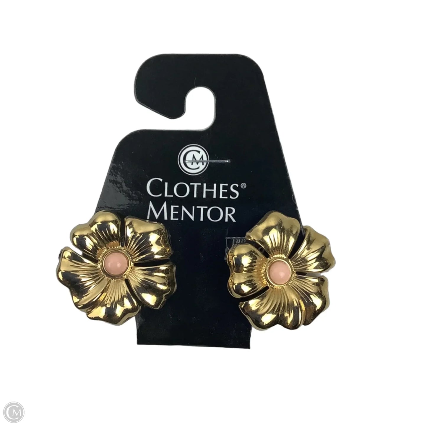 Earrings Clip By Clothes Mentor