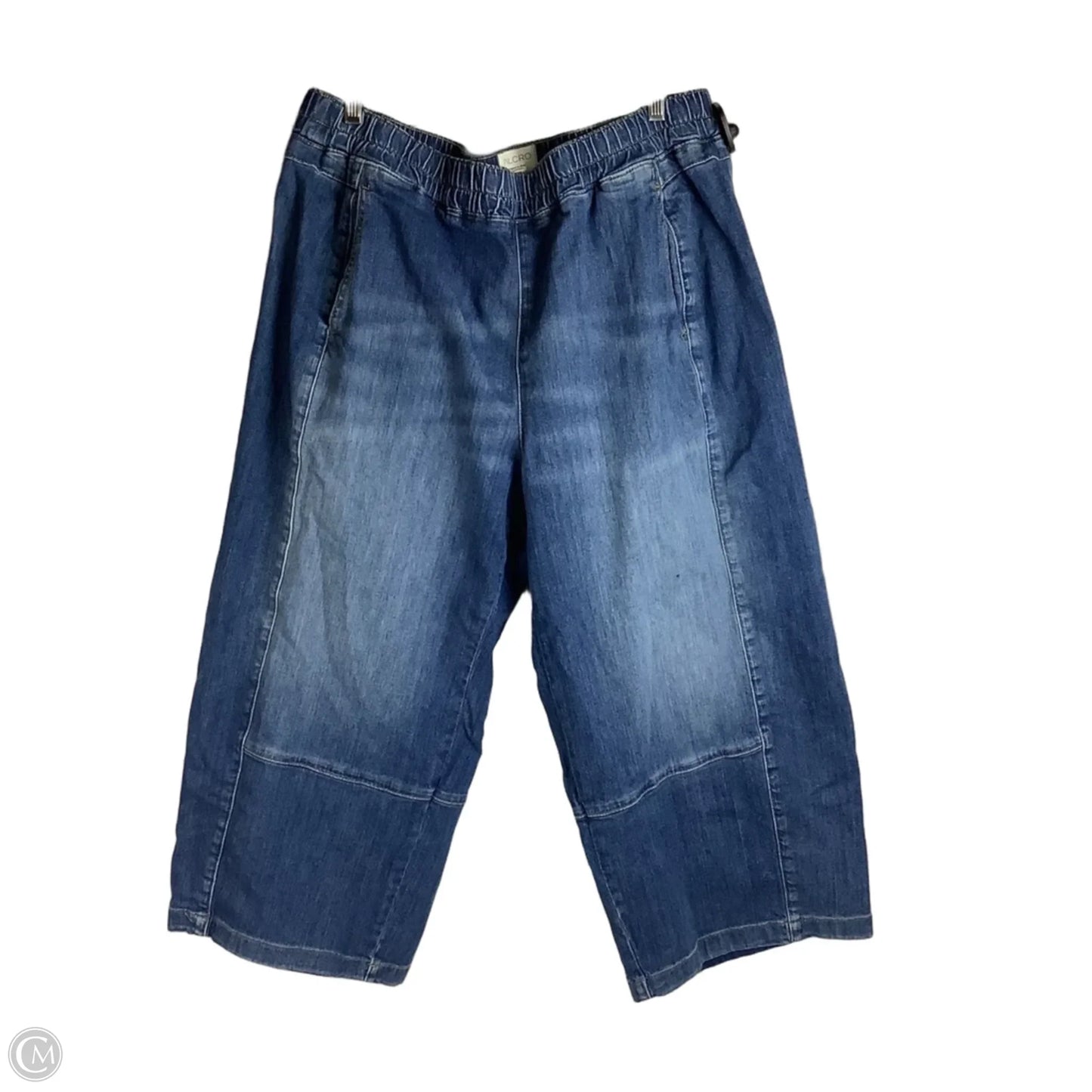 Jeans Cropped By Pilcro In Blue Denim, Size: 1x