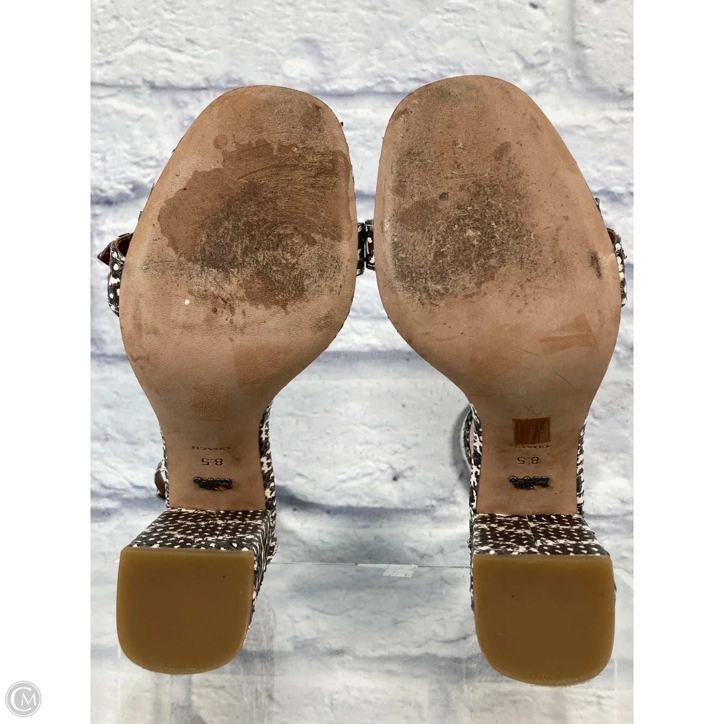 Sandals Designer By Coach In Snakeskin Print, Size: 8.5