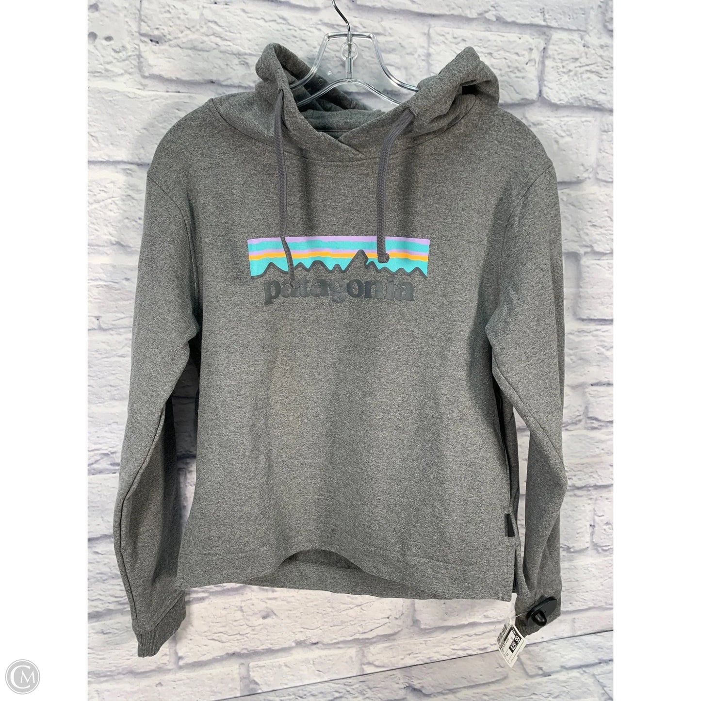 Sweatshirt Hoodie By Patagonia In Grey, Size: Xs
