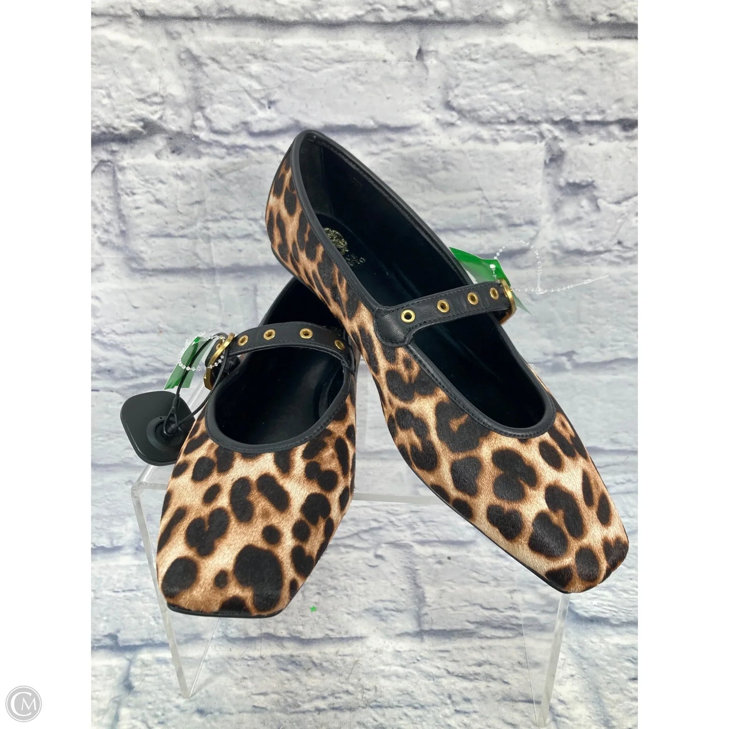 Shoes Flats By Vince Camuto In Animal Print, Size: 12