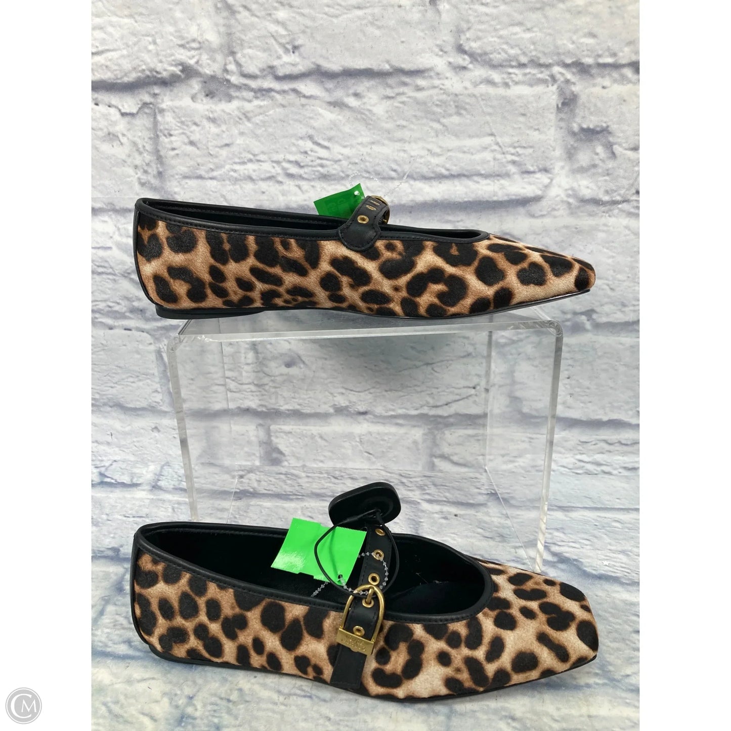 Shoes Flats By Vince Camuto In Animal Print, Size: 12