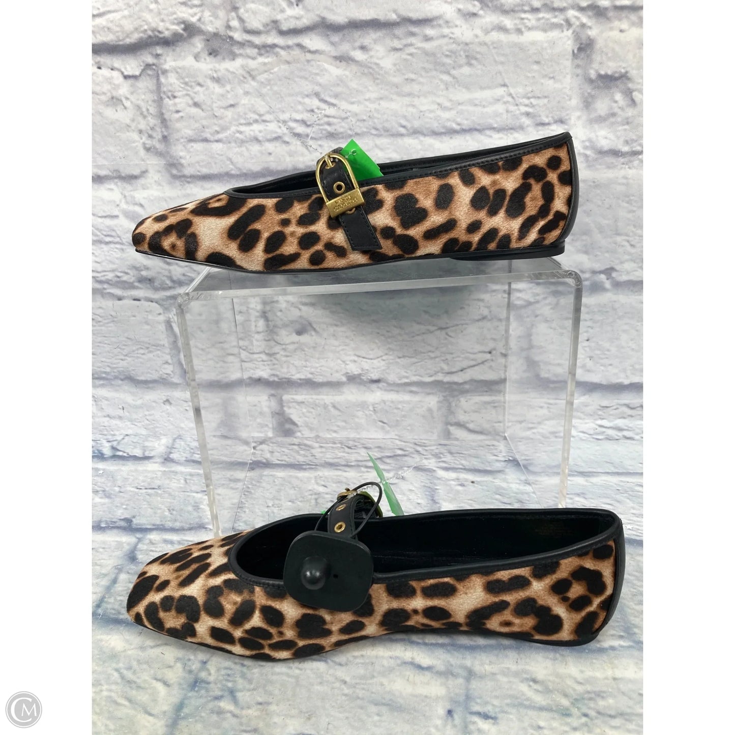 Shoes Flats By Vince Camuto In Animal Print, Size: 12