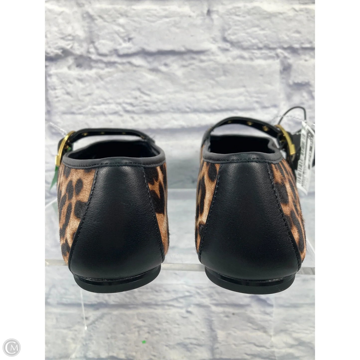 Shoes Flats By Vince Camuto In Animal Print, Size: 12