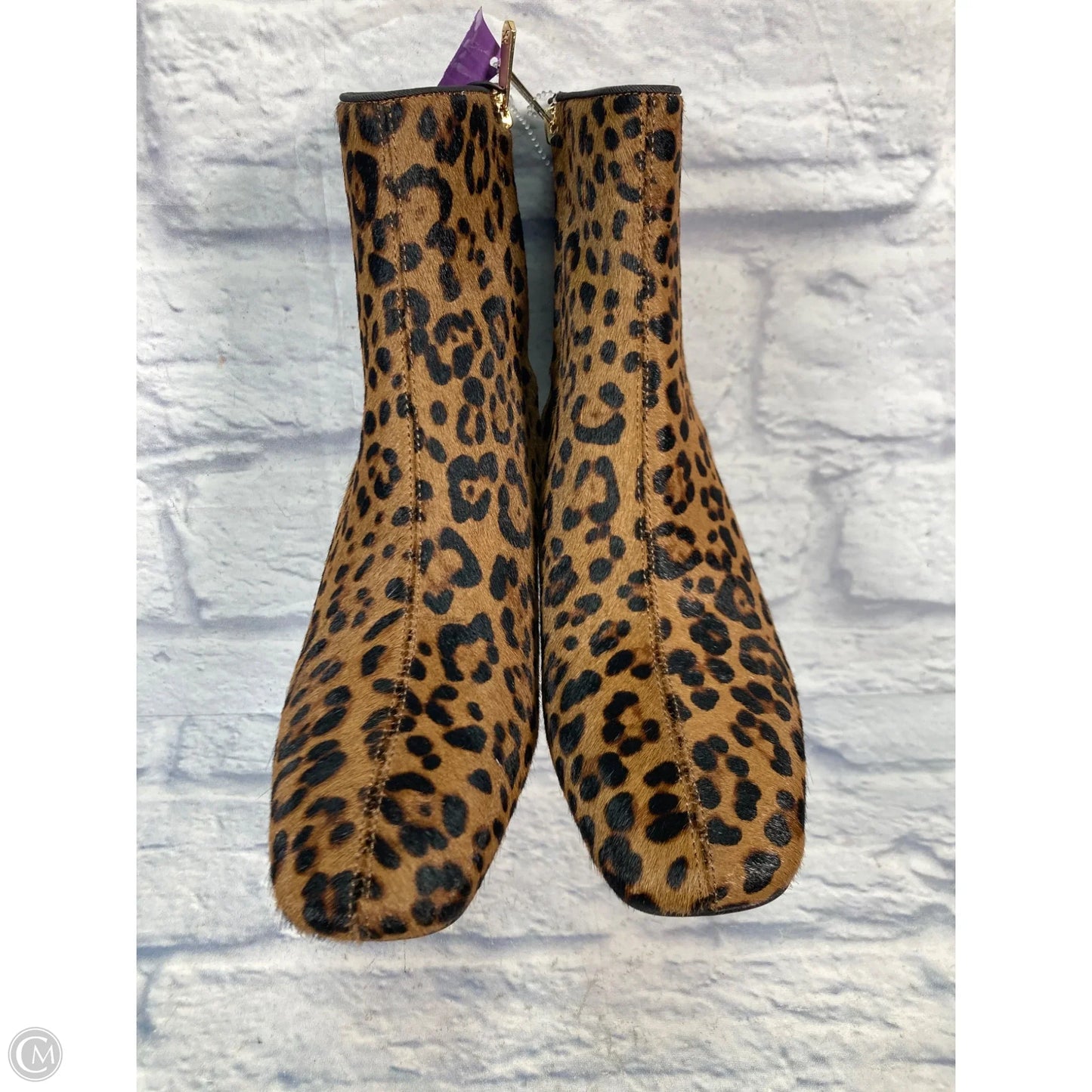 Boots Ankle Heels By Sam Edelman In Animal Print, Size: 7.5
