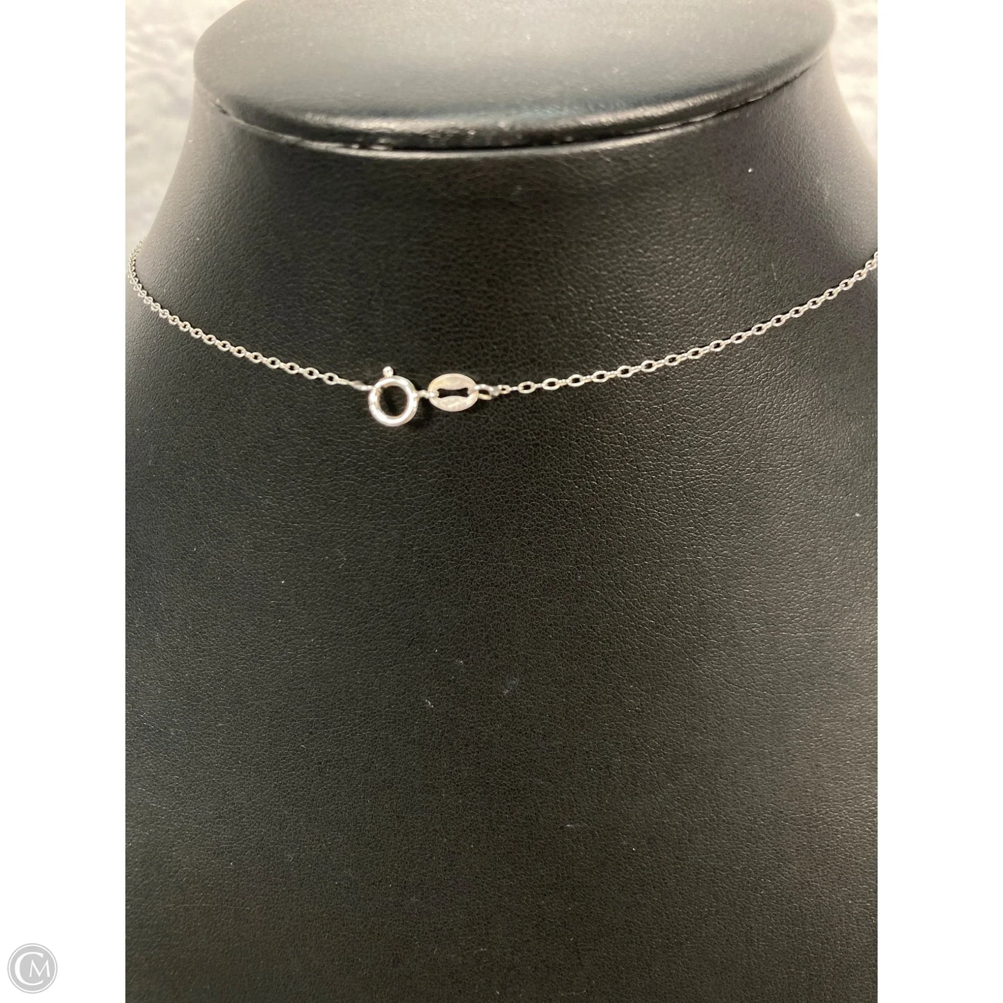 Necklace Sterling Silver By Clothes Mentor