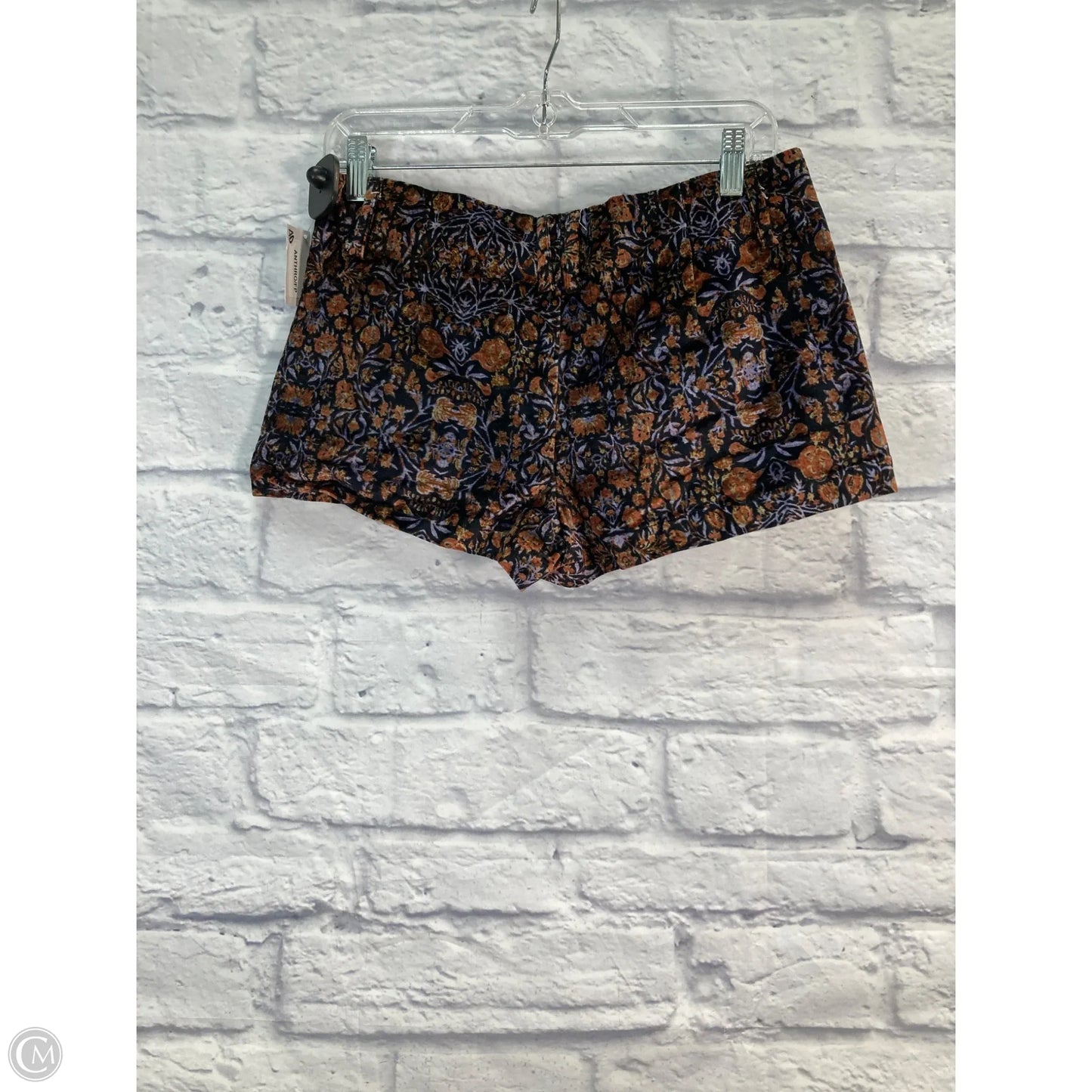 Shorts By Free People In Black & Orange, Size: 4