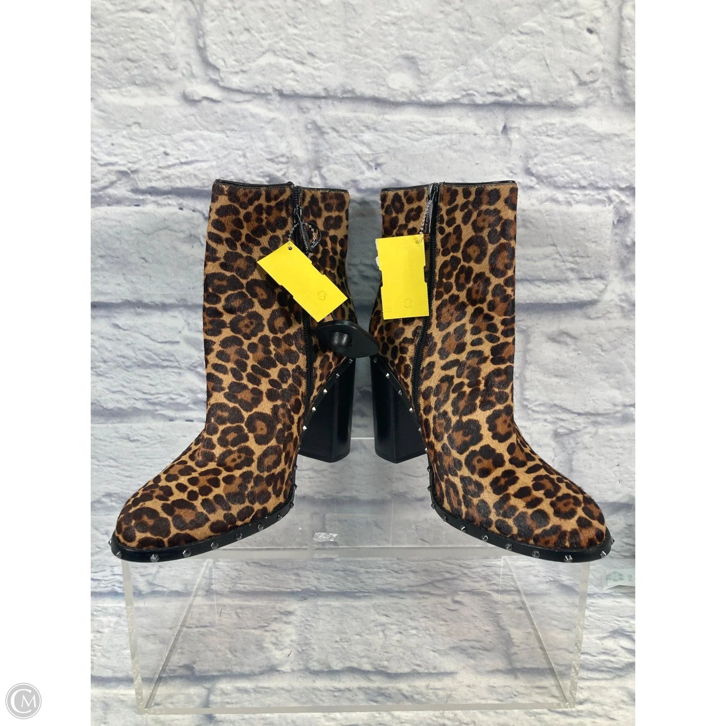 Boots Ankle Heels By Gianni Bini In Animal Print, Size: 10