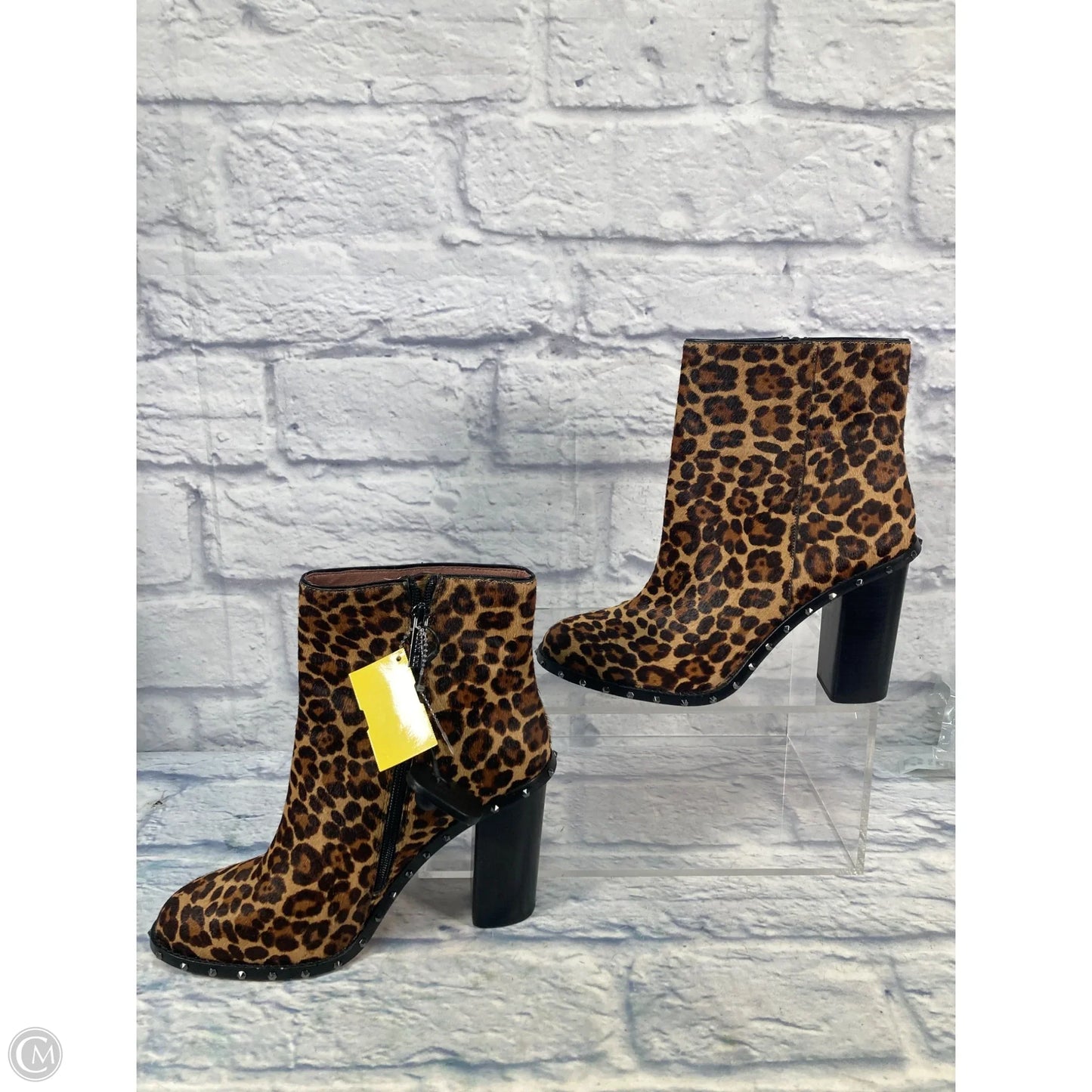 Boots Ankle Heels By Gianni Bini In Animal Print, Size: 10