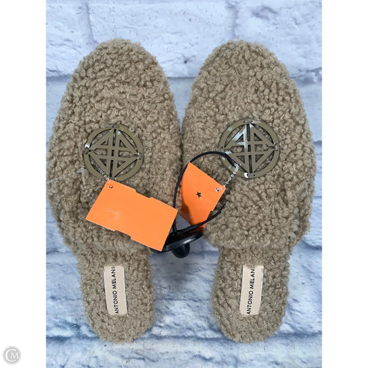 Shoes Flats By Antonio Melani In Brown, Size: 7