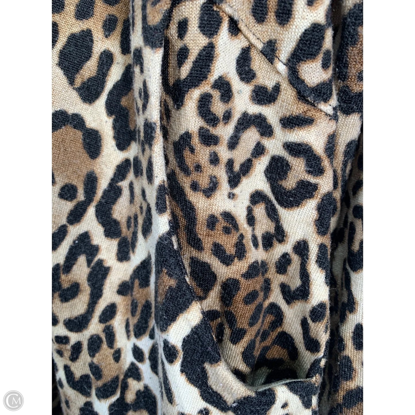 Tunic Long Sleeve By Chicos In Animal Print, Size: L